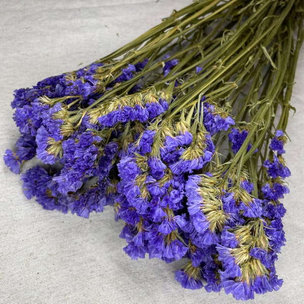 Statice Séchée Botte de 100g - "Lavande des Mers" Rustique pour Bouquets DIY et Décoration Florale