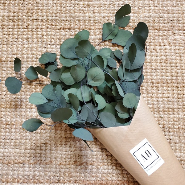 Eucalyptus Populus Vert 150g 3/5 branches - Stabilisée - pour composer vous même vos bouquets ou décorer votre intérieur