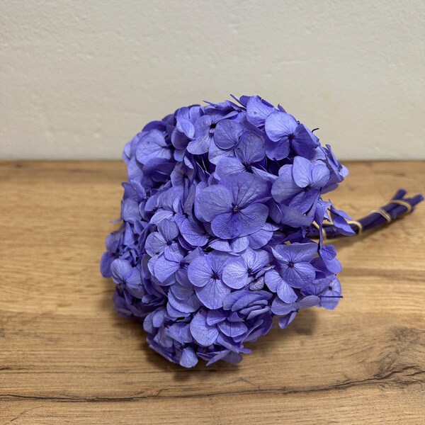 Tête d'Hortensia Stabilisé Violet - Volume et Couleur Durable pour Vos Créations Florales