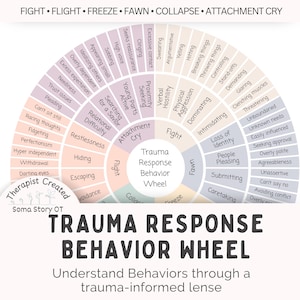 Trauma Response Behavior Wheel Printable; Fight Flight Freeze Fawn Chart for Nervous System Regulation