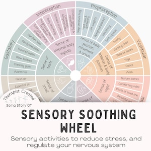 Roue sensorielle apaisante : activités sensorielles pour la régulation du système nerveux et les soins personnels (téléchargement PDF)