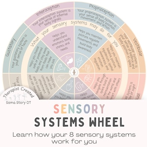 Pôster da Roda dos Sistemas Sensoriais: Terapia Ocupacional, Processamento Sensorial (Download em PDF)