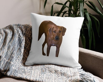 Custom Photo Pillow, Premium Pillow, personalized pet pillow, home decor, custom home decor.