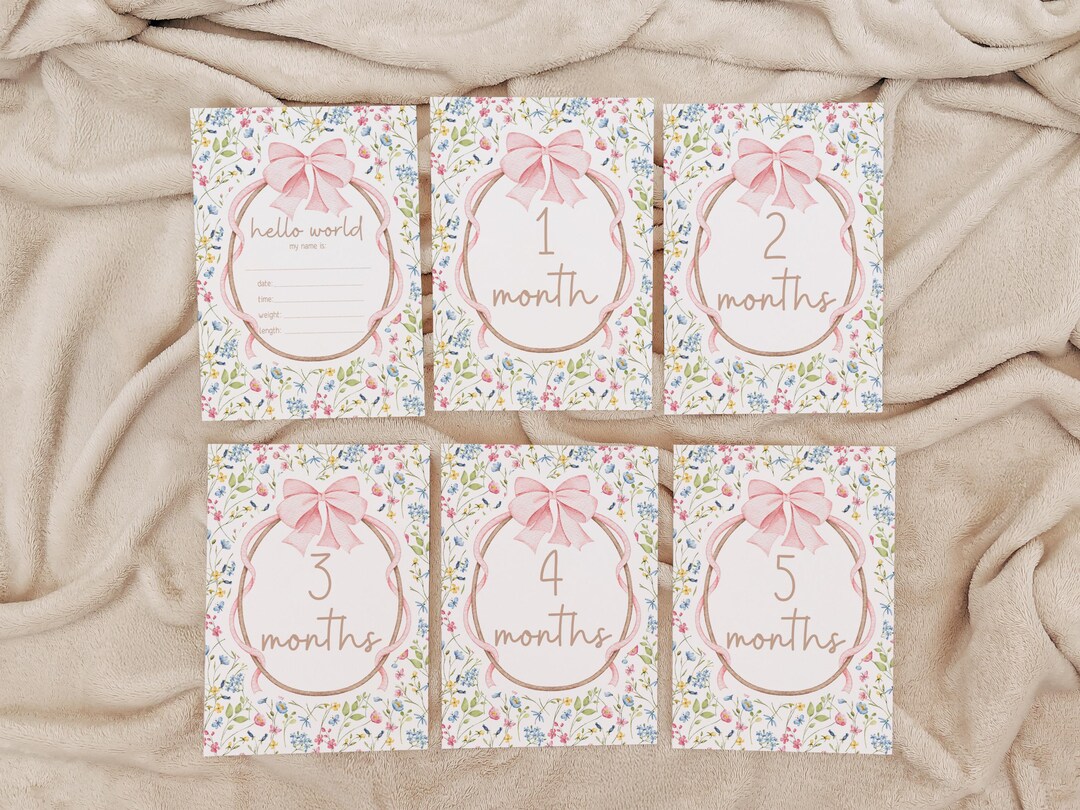 Printable Vintage Pink Bow Baby Girl Milestone Cards, Monthly Photo ...