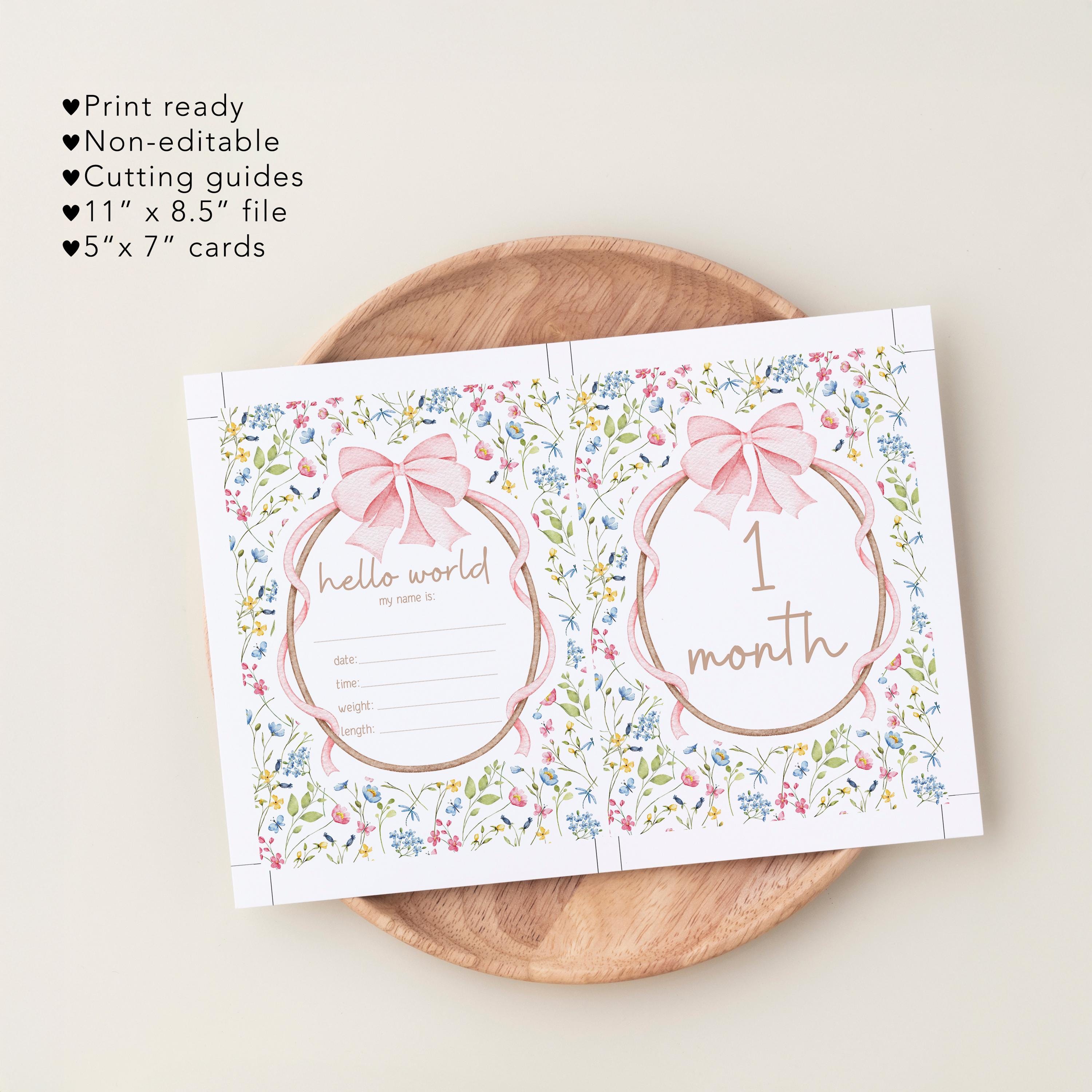 Printable Vintage Pink Bow Baby Girl Milestone Cards, Monthly Photo ...