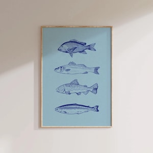 Può includere: Una stampa incorniciata di quattro diversi tipi di pesci, illustrati in inchiostro blu su uno sfondo blu chiaro.