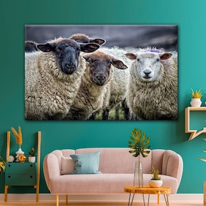 Sheep Domestic Animal Canvas Wall Art Design | Poster Print Decor for Home & Office Decoration I CANVAS READY to Hang
