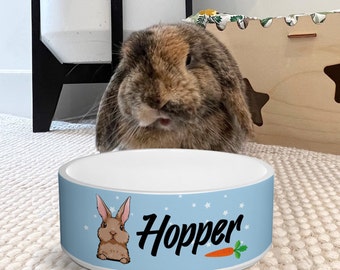 Custom Name Rabbit Bowl, Personalized Cute Rabbit Bowls, Ceramic Bunny Breed Bowl, Food and Water Dish For Pet, Rabbit Mom Gifts