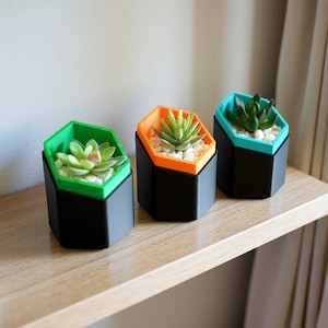 Hexagonal Succulent Planter Geometric Design Modern Aesthetic Minimalist Style Indoor Garden Desk Decoration Plant Container Drainage System
