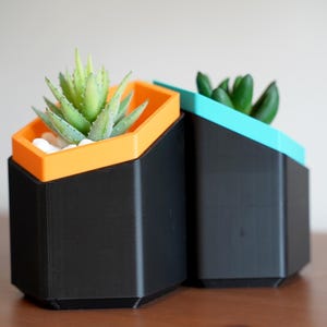 Hexagonal Succulent Planter Set 3D Printed Geometric Modern Shelf Decor Colour Pop Housewarming Gift Idea For Her New Home Living Room image 3