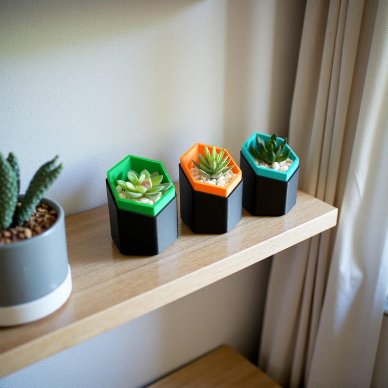 Hexagonal Succulent Planter Set 3D Printed Geometric Modern Shelf Decor Colour Pop Housewarming Gift Idea For Her New Home Living Room image 1
