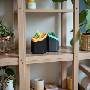 Hexagonal Succulent Planter Set 3D Printed Geometric Modern Shelf Decor Colour Pop Housewarming Gift Idea For Her New Home Living Room image 2