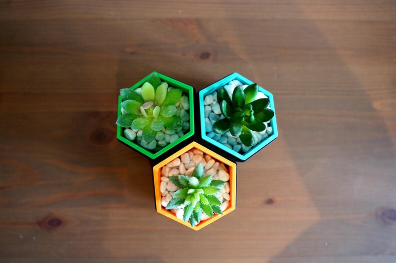 Hexagonal Succulent Planter Set 3D Printed Geometric Modern Shelf Decor Colour Pop Housewarming Gift Idea For Her New Home Living Room image 5