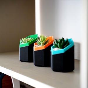 Hexagonal Succulent Planter Set 3D Printed Geometric Modern Shelf Decor Colour Pop Housewarming Gift Idea For Her New Home Living Room image 14