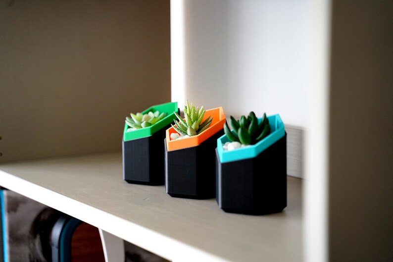 Hexagonal Succulent Planter Set 3D Printed Geometric Modern Shelf Decor Colour Pop Housewarming Gift Idea For Her New Home Living Room image 14