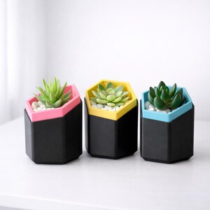 Hexagonal Succulent Planter Set 3D Printed Geometric Modern Shelf Decor Colour Pop Housewarming Gift Idea For Her New Home Living Room image 12