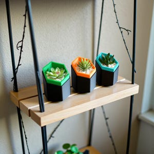 Hexagonal Succulent Planter Set 3D Printed Geometric Modern Shelf Decor Colour Pop Housewarming Gift Idea For Her New Home Living Room image 13