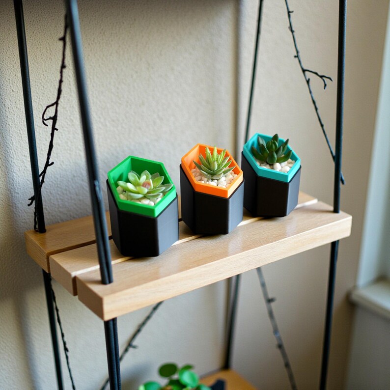 Hexagonal Succulent Planter Set 3D Printed Geometric Modern Shelf Decor Colour Pop Housewarming Gift Idea For Her New Home Living Room image 13