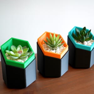 Hexagonal Succulent Planter Set 3D Printed Geometric Modern Shelf Decor Colour Pop Housewarming Gift Idea For Her New Home Living Room image 4
