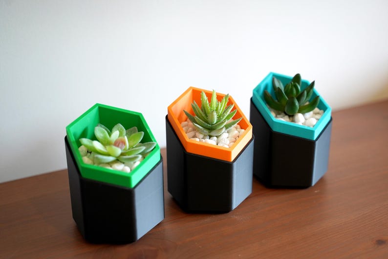 Hexagonal Succulent Planter Set 3D Printed Geometric Modern Shelf Decor Colour Pop Housewarming Gift Idea For Her New Home Living Room image 4