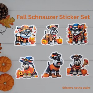 May include: A set of six fall-themed stickers featuring miniature schnauzers dressed in various costumes. The stickers feature a witch, a pilgrim, a pumpkin, a scarecrow, a  hiker, and a  squirrel. The stickers are printed on white, glossy paper and are perfect for adding a touch of whimsy to your fall decor.