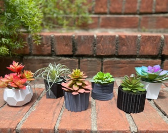 Modern Mini Planter Combo - 6 pack