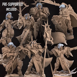 Battle Sisters Pt2, Battle Sisters, Fighter, Paladin, Saint, Modular, DnD, Pathfinder, Tabletop, Fantasy, 35mm, Miniature, Fantasy Tabletop