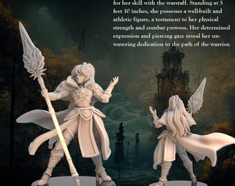 Fantasy Girls, Wizard, Fighter, Paladin, Rogue, Barbarian, Sorceress, Druid, Assassin, DnD, Pathfinder, Fantasy, Tabletop, 32mm, Miniature