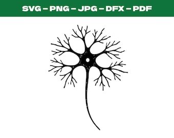 Neuron Brain Cell svg Anatomy Medical Science Biology Art Digital Download Neural Network Scientific Illustration Branched Dendrite Drawing