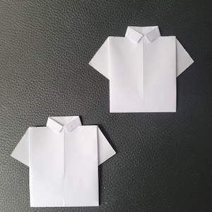 Papieren T-shirt: 12 kleuren