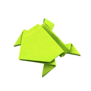Origamikikker: variatie in kleur en maat