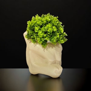 Legendary Psychic Character Skull Planter