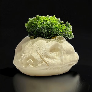 May include: A white ceramic planter shaped like a rock with a small green plant growing out of the top.