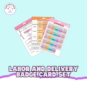 Conjunto de tarjetas de referencia para insignias de parto y alumbramiento: insignias portátiles para enfermeras de parto y alumbramiento, enfermeras maternoinfantiles y técnicos de control de bebés sanos.