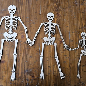 Halloween Skelett Familie, Sondergröße Skelette mit beweglichen Teilen! Einfaches Halloween-Dekorationskunstprojekt, Skelett-Kit einfach zu montieren!