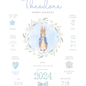 Peter Rabbit Baby Boy Arrival Card - Occasion Cards - View #6