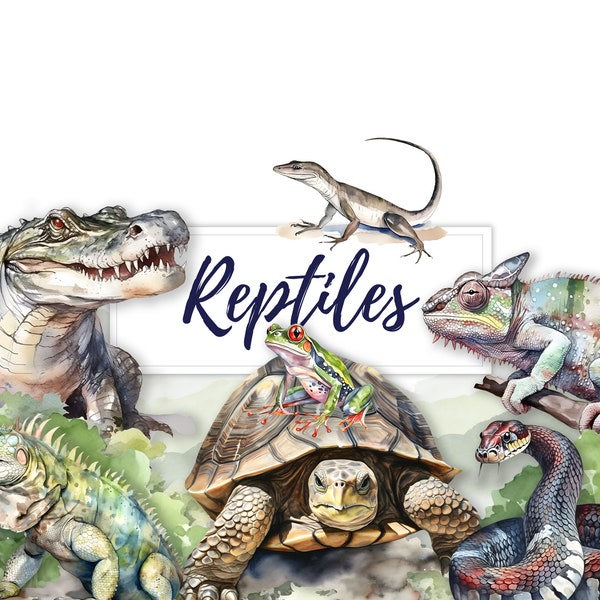 20 Watercolor Reptile Clipart, Aquarelle Drawing Crocodile Turtle Chameleon Lizard Frog Snake Clipart, PNG, T-shirt Design, Nursery Wall Art