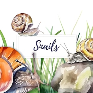10 aquarel slak clipart, aquarelle slak clipart, natuur dierlijke clipart, PNG, T-shirt design, verjaardagskaart ontwerp, kinderkamer kunst aan de muur