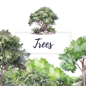 20 Watercolor Tree Clipart, Aquarelle Drawing Tree Forest Bush Clipart, PNG, Wedding invitation Design, Birthday Card Design, Wall Art