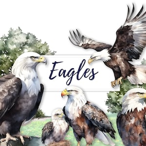 10 Watercolor Eagle Clipart, Aquarelle Eagle Clipart, Nature Forest Birds Clipart, PNG, T-shirt Design, Birthday Card, Nursery Wall Art