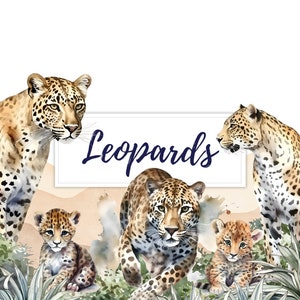 10 Aquarell Leopard Clipart, Aquarell Leopard Gepard Gepard Katze Clipart, Savanne Tier Clipart, PNG, T-Shirt Design, Kinderzimmer Wandkunst