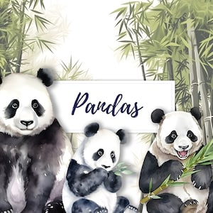 10 aquarel Panda Bear clipart, aquarelle panda clipart, dierlijke clipart, PNG, T-shirt design, verjaardagskaart ontwerp, kinderkamer kunst aan de muur