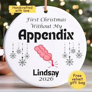 Personalized Appendectomy Ornament, Handmade Appendix Removal Joke Gift, Appendix Surgery Christmas Present, Custom Gift for Appendicitis