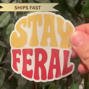 Handmade Stay Feral Vinyl Decal sticker, Water Resistant Gift Idea for feral mom, Retro Decal for parent of feral kids, Water bottle sticker