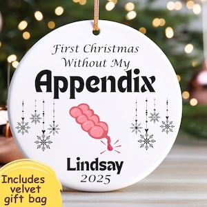 Personalized Appendectomy Ornament, Handmade Appendix Removal Joke Gift, Appendix Surgery Christmas Present, Custom Gift for Appendicitis