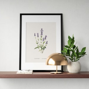 Lavender print for wall