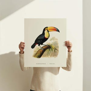 Toucan Wall Art Print – Tropical Bird Retro Poster for Living Room or Office | 16x20&quot; Digital Download | Jungle Boho Decor