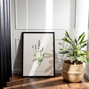 Lavender poster
