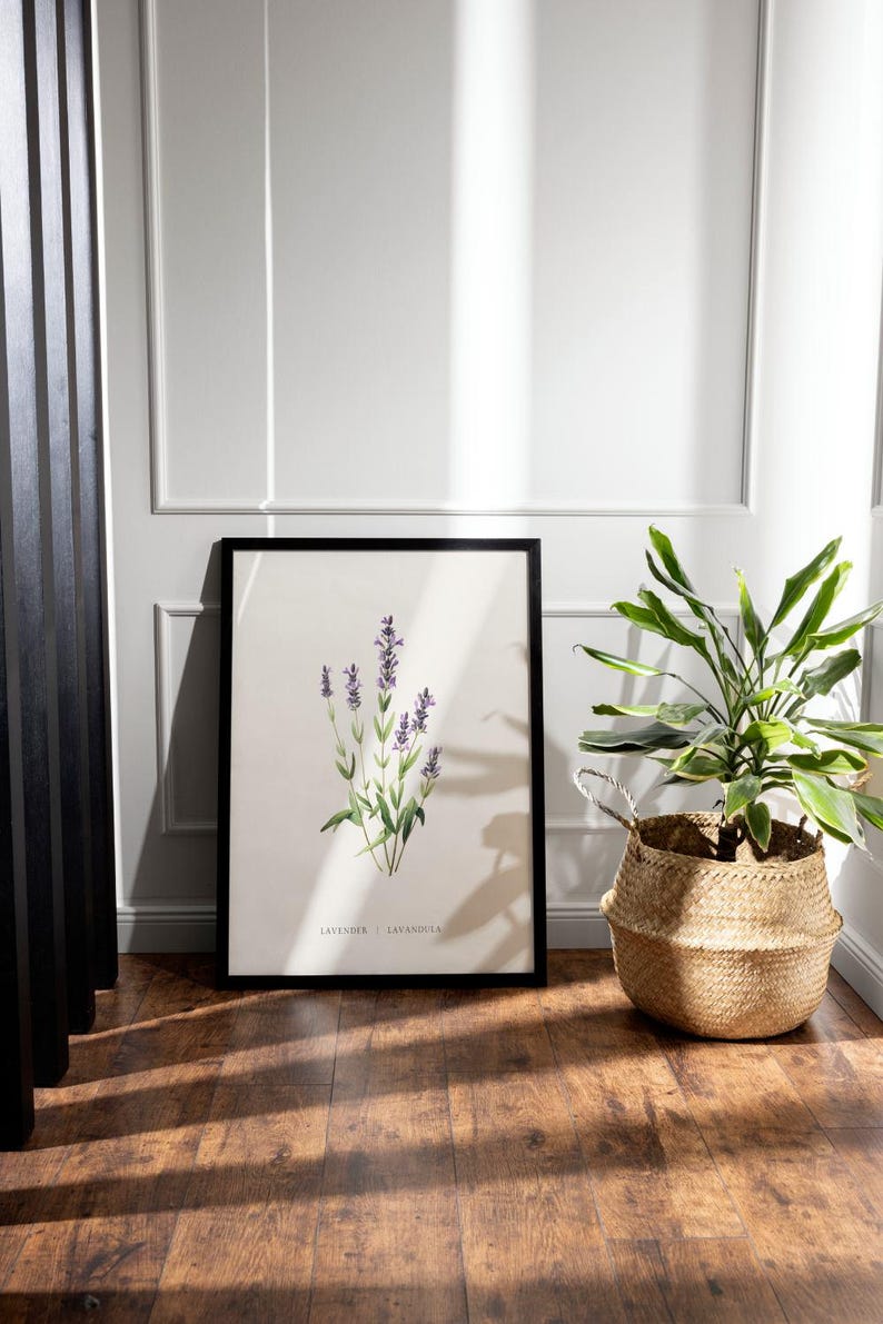 Lavender poster