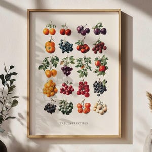 Vintage Fruits Botanical Print | 16x20 Inch Wall Art Poster